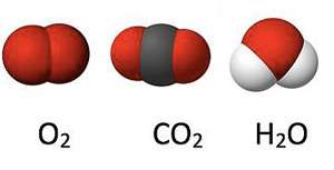 Molecule de oxigen dioxid de carbon și apă care trec printr-un perete care respiră